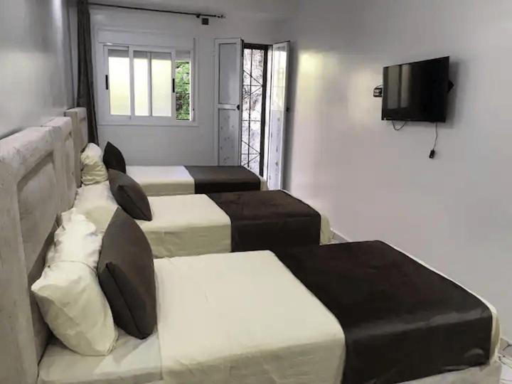 Apartment Ammour